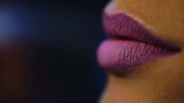 Visagist felle lippenstift op de lippen modellen toe te passen. Make-up artiest doet make-up voor meisje binnen. — Stockvideo