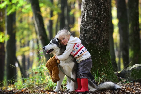 Söt liten flicka kramar husky hund i parken. Bra soligt väder, starkt solljus och söta modeller — Stockfoto