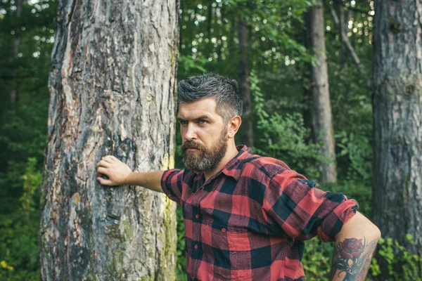 Summer vacation concept. Bearded man in forest. Hipster with long beard on natural green landscape. Tourist in plaid shirt relax at tree. Traveler hiking on sunny day.