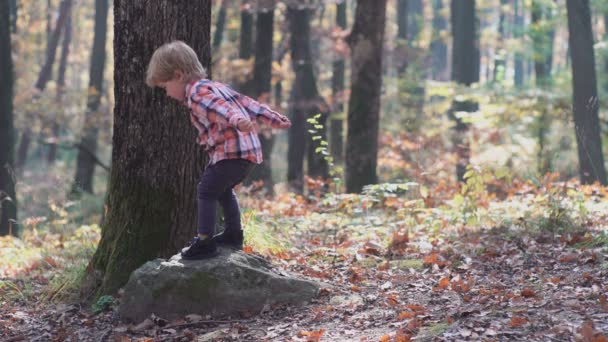 Ein kleiner Junge und ein kleines Mädchen in der Natur, im Wald, im Wald. glückliche Familie beim Spaziergang mit Hund im Wald. glückliche kleine Mädchen haben Spaß beim Spielen mit fallenden goldenen Blättern — Stockvideo