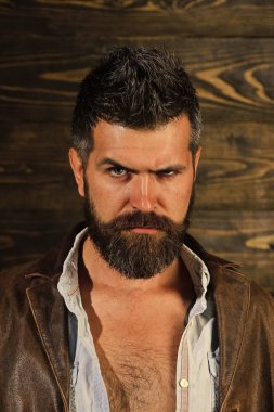 Ciddi hipster berber dükkanı şarkısı, bak. Hipster sakal ahşap arka plan üzerinde ciddi bir yüz ile.