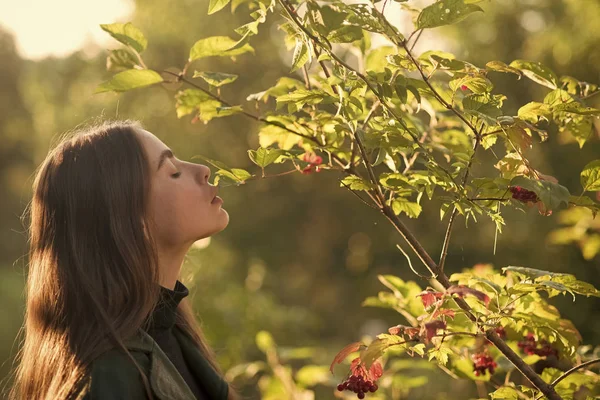 Bahar zaman genç kız kartopu veya rowan ağacı güneşli, açık. kadın baharda ağacın yanında dur. Spa terapi ve tedavi, doğa. Güzellik ve gençlik moda — Stok fotoğraf