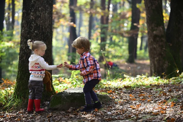 Çocukluk ve çocuk dostluk, sevgi ve güven. Küçük oğlan ve kız ormanda kamp arkadaşlar. Kids hareket ve aktif dinlenme. Kız ve erkek kardeşim temiz hava iyi eğlenceler. Çocuk sonbahar ormanda oyun — Stok fotoğraf