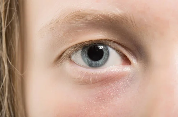 Ojo sin maquillaje. Ojo azul con pestañas rubias y ceja. Aspecto de belleza natural y sin maquillaje —  Fotos de Stock