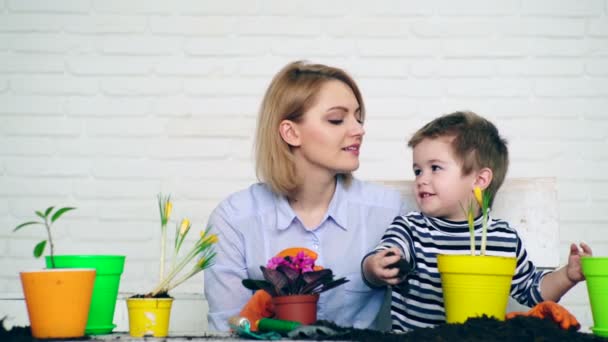 Il figlio e la madre piantarono fiori in vasi facendo una causa comune. — Video Stock