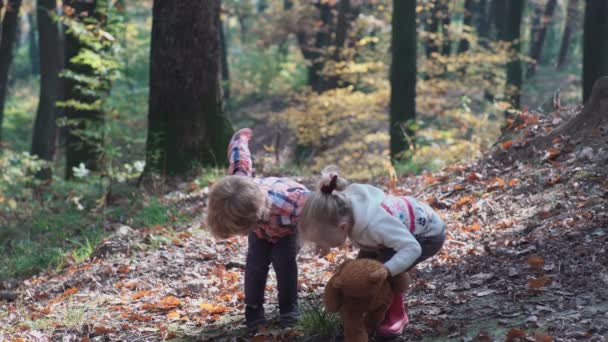 Πρώτη αγάπη. Τα παιδιά στο δάσος. Τα παιδιά στο δάσος. Το κορίτσι και αγόρι παίζει στο δάσος. Φθινόπωρο, καλοκαίρι. Ευτυχής παιδιά περπάτημα στο δάσος. — Αρχείο Βίντεο