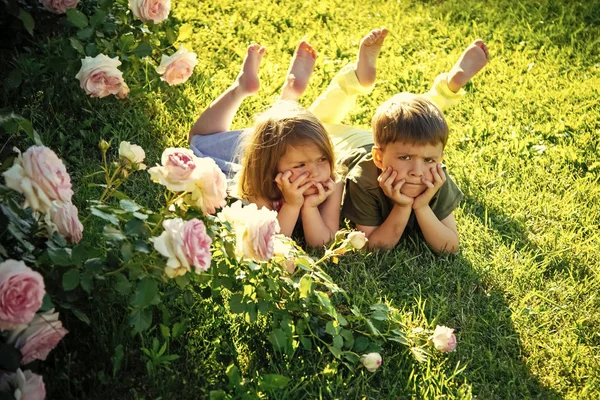 Amici e amicizia concetto — Foto Stock