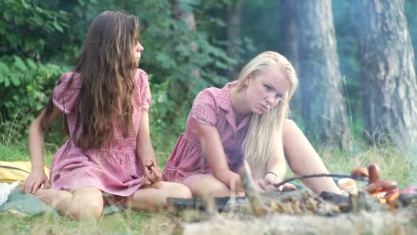 Groupe d'amis ayant pic-nic dans un parc par une journée ensoleillée - Les gens qui traînent, s'amuser tout en grillant et en se relaxant. Groupe d'amis relaxer le parc sur une belle journée d'automne . — Video