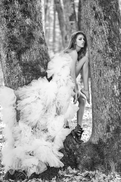 Donna affascinante vicino all'albero — Foto Stock