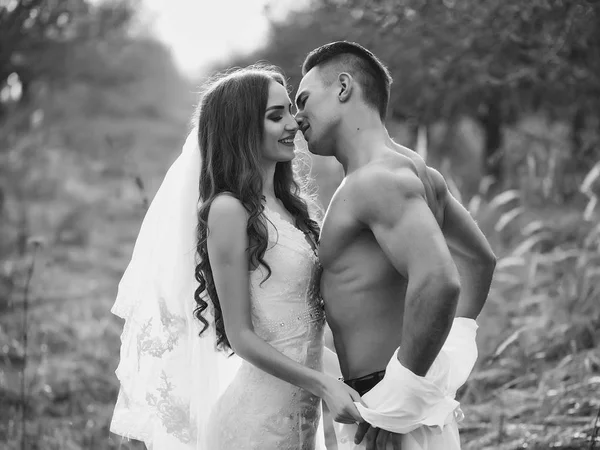 Sexy wedding couple — Stock Photo, Image