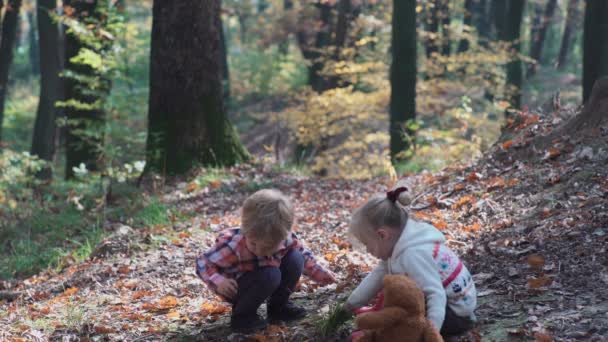 Första kärlek. Barnen i skogen. Barn i skogen. Flicka och pojke leker i skogen. Höst, sommar. Glada barn gå i skogen. — Stockvideo