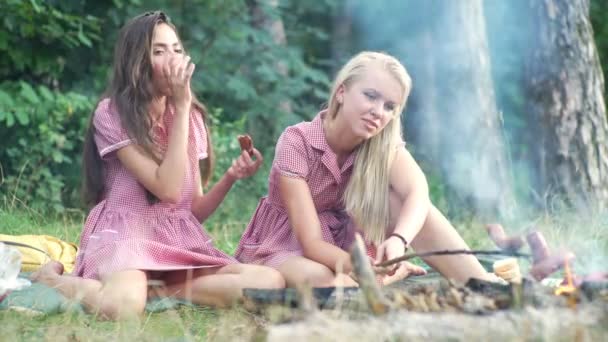 Groep vrienden met pic-nic in een park op een zonnige dag - mensen opknoping, plezier terwijl grillen en ontspannen. Groep vrienden ontspannen van het park op mooie herfstdag. — Stockvideo