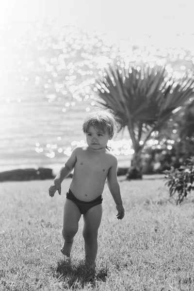 Ładny chłopczyk spacery na zielonej trawie — Zdjęcie stockowe