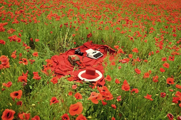 typewriter, camera and book in red poppy flower