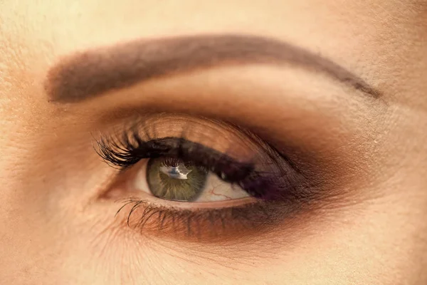 Closeup photo of eye — Stock Photo, Image