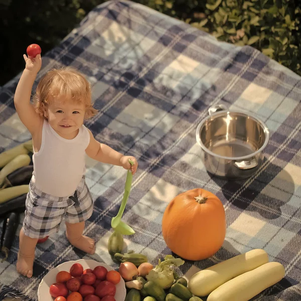 Malý chlapec na piknik — Stock fotografie