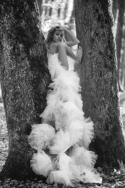 Güzel seksi kadın ormanda — Stok fotoğraf