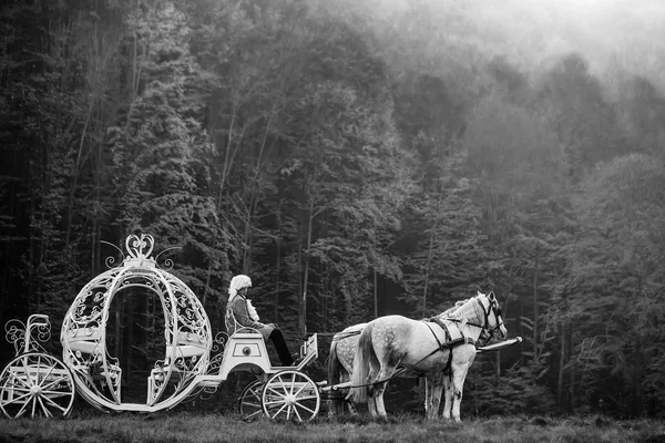 Ormandaki Vintage taşıma — Stok fotoğraf
