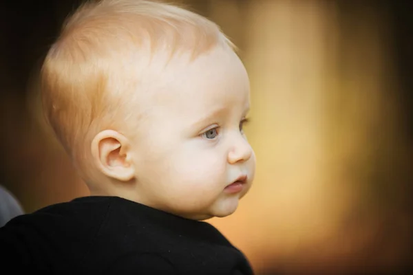 Adorable niñito rubio al aire libre en el parque, espacio de copia — Foto de Stock