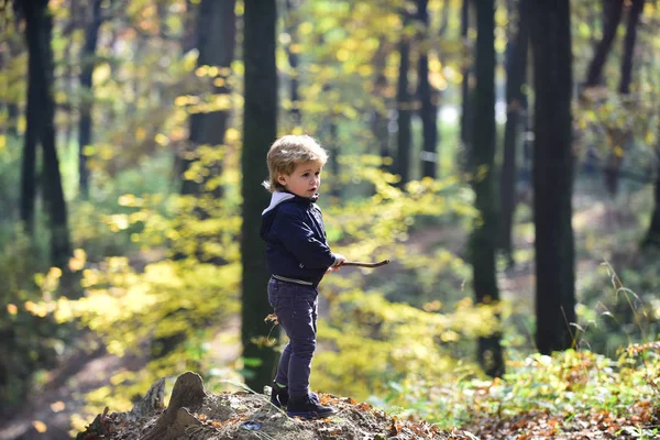 Niño jugar al aire libre en el aire libre. Un niño pequeño juega en el bosque de otoño. Vacaciones de otoño y camping. Principito en los bosques de cuento de hadas. Actividad y descanso activo para niños — Foto de Stock