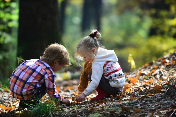 Küçük oğlan ve kız arkadaşlar üzerinde taze hava iyi eğlenceler. Çocuk meşe palamutları meşe ağaçlarının seç. Kız ve erkek kardeşim sonbahar ormanda kamp. Çocukluk ve çocuk dostluk. Kids hareket ve aktif dinlenme — Stok fotoğraf