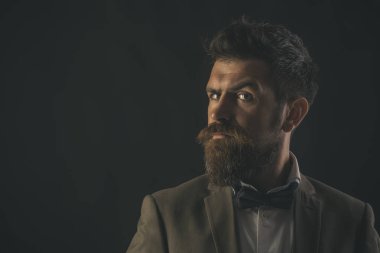 Sakal ve bıyık tıraşsız yüzündeki olan adam. Şık saçlı sakallı adam. Moda hippi giyim papyon ile resmi ceket. Cilt Bakımı ve kavram damat. Kuaför ve saç salonu, kopya alanı