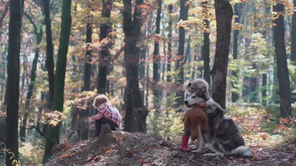 İlk aşkım. Çocuklar ormanda. Çocuk ormanda. Kız ve erkek ormanda oynuyor. Sonbahar, yaz. Mutlu çocuklar ormanda yürüyüş. — Stok video