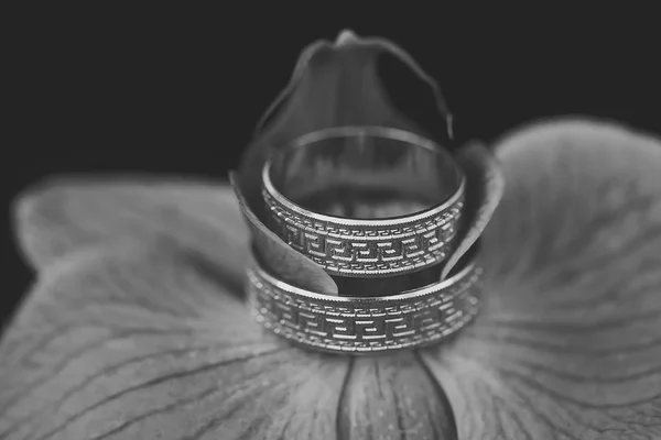 Wedding rings and orchid — Stock Photo, Image