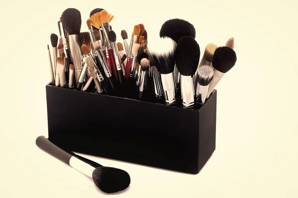 Set of make-up brushes — Stock Photo, Image