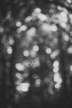 Arka plan bulanık doğa ile.