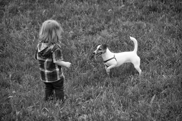 Kleine jongen op groene gras met hond — Stockfoto