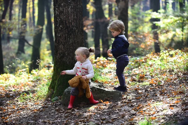 孩子们在秋天的森林里玩耍。小男孩和女孩的朋友在树林里露营。兄弟姐妹在新鲜空气中玩得开心。童年和孩子的友谊, 爱和信任。儿童活动和活动休息 — 图库照片