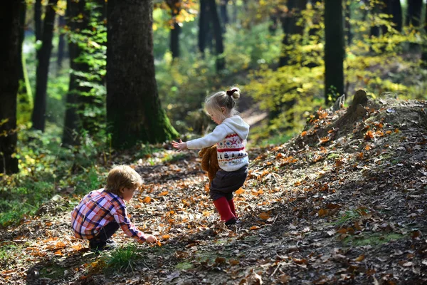 Брат і сестра розважаються на свіжому повітрі. Брат і сестра грають в ігри в осінньому лісі — стокове фото