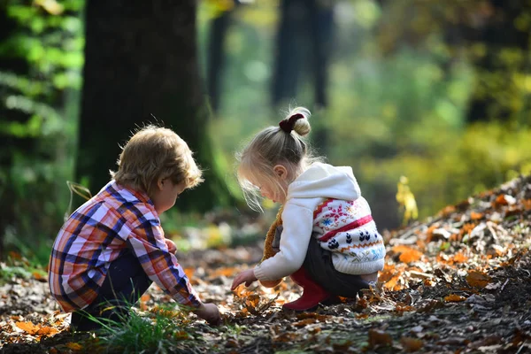 Activité des enfants et repos actif. Les enfants cueillent les glands des chênes. Frère et sœur campant dans la forêt d'automne. Petits amis garçons et filles s'amusent à l'air frais. Amitié d'enfance et d'enfant — Photo