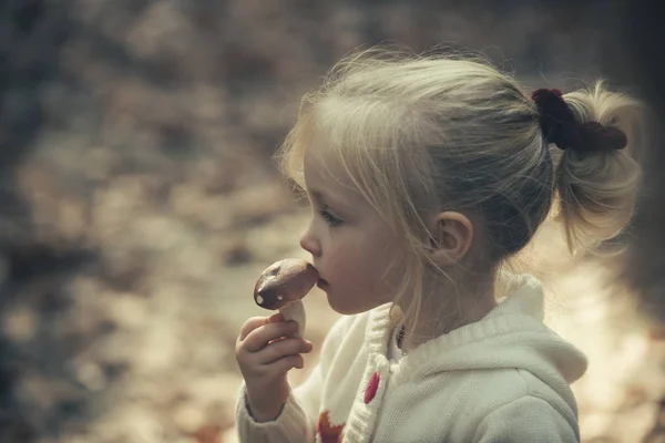 Criança com cogumelo fresco na floresta de outono. A menina colhe cogumelos na floresta. Alimentos orgânicos e saudáveis. Criação e desenvolvimento precoce. Atividade infantil e descanso ativo ao ar livre — Fotografia de Stock