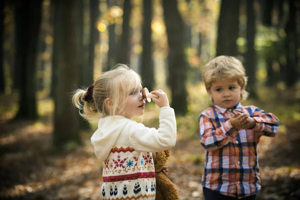 Camping barn skörda svamp s i höstens skog. Camping, semester och wanderlust — Stockfoto