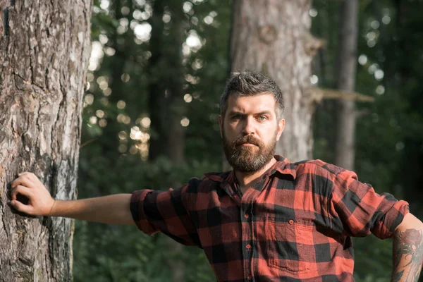 Koncentrovaná muž s vousy a knír pěší v lese. Osamělý cestovatel odpočívá vedle strom, aktivní životní styl a koncept dovolenou — Stock fotografie
