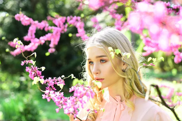 Dívka Tváři Zasněný Nabídka Blondýna Blízkosti Fialovým Květy Judas Tree — Stock fotografie