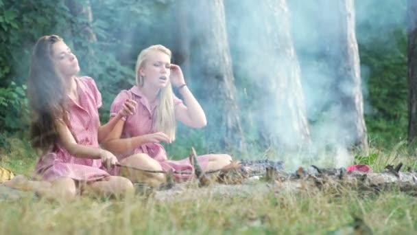 2 つの若い女性ピンのアップ スタイルは、夕暮れの公園でのピクニックで楽しんで。夏、休日、休暇、幸せな人々 のコンセプト - 笑顔のガール フレンド。ピクニック ガール フレンド. — ストック動画