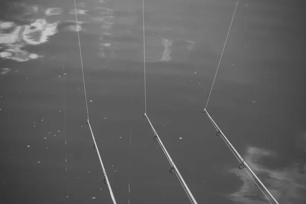 태 클, 강, 호수, 연못, 민물 낚시에 대 한 코드 — 스톡 사진
