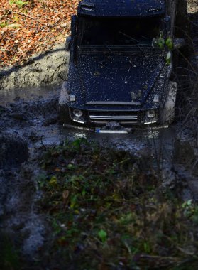 Siyah crossover aracılığıyla kir doğa ile arka plan üzerinde sürüş. Crossover ormanda güneşli sonbahar gününde engellerin üstesinden gelir. 4 x 4 yarış kavramı. SUV çamur birikintisinde şaşırıp kalmış ile kaplı.
