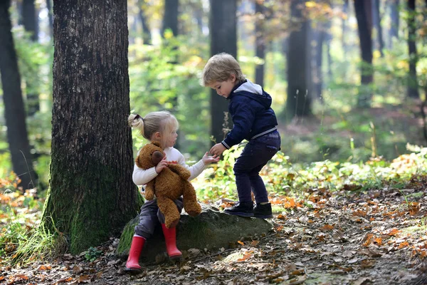 Маленький Хлопчик Дівчинка Друзі Ходять Лісі Діти Грають Осінньому Лісі — стокове фото