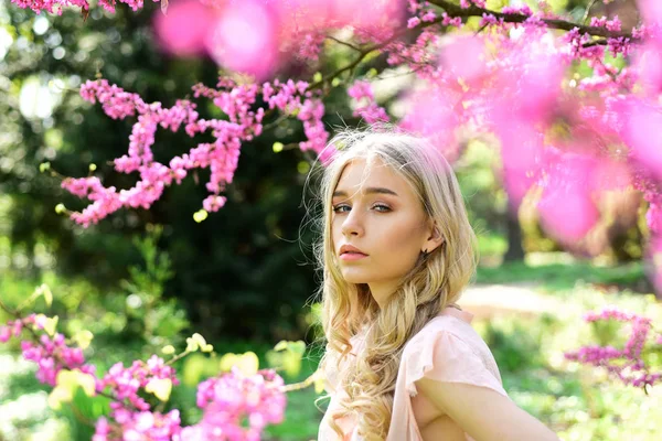 Jarní Květ Koncept Dívka Tváři Zasněný Nabídka Blondýna Blízkosti Fialovým — Stock fotografie