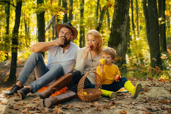 공원에서 소풍을 즐기는 동안밝은 가족 이 풀밭에 앉아 있었다. 해 가 지면 엄마 아빠와 아기는 행복하게 쉴 거야. 아이를 위한 음식 과 장난감이 담긴 바구니가 있어요. 가족 산책의 개념. — 스톡 사진