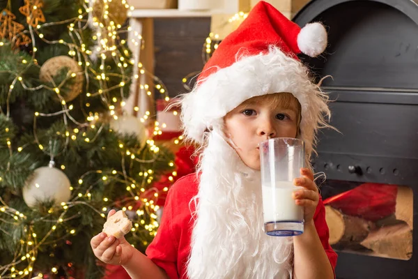 Kid Santa Claus takes a cookie on Christmas Eve as a thank you gift for leaving presents to a grateful boy or girl. Santa Claus holding Christmas cookies and milk against Christmas tree background.