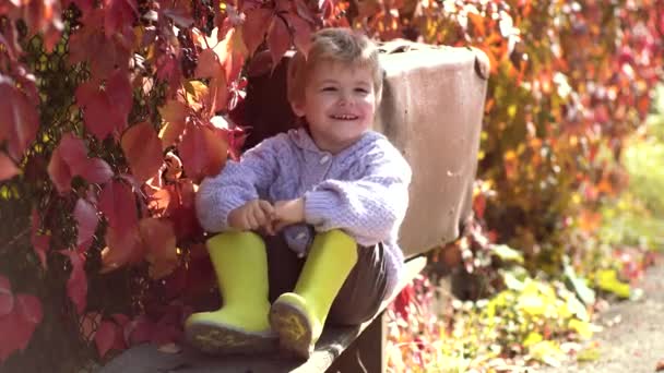 Kids outdoor fun in autumn. Autumn child. Cute outdoor portrait of child in autumn. Waiting in autumn park. Cute child boy having fun in park. — Stock Video