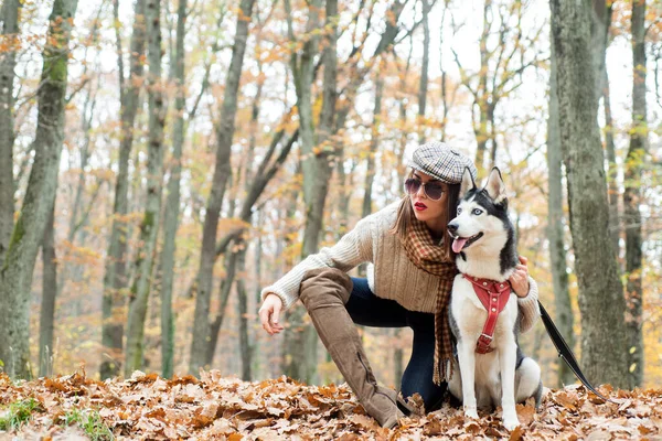 Conceito de cão pedigree. Selvagem de alma. Melhores amigos. Menina gosta de andar com cão husky. Menina mulher muito elegante andando com husky cão floresta de outono . — Fotografia de Stock