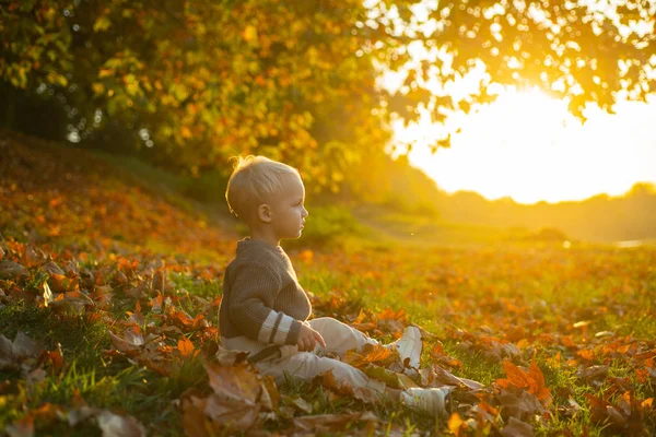 秋天里穿着一件灰色毛衣的漂亮孩子. 自动的闲暇时间。 在秋天的公园里散步。 小男孩。 具有创意秋天色彩效果的可爱宝宝户外肖像. — 图库照片