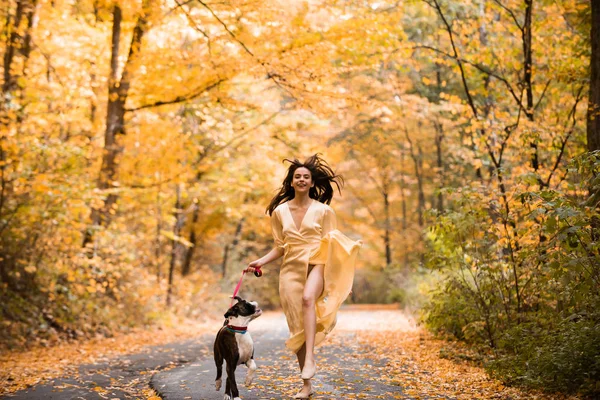 Menina e cachorro em passeio no belo parque natural de outono. Eles caminhando pelas folhas caídas na floresta no dia de outono. Mulher vai com um cão andando no outono . — Fotografia de Stock