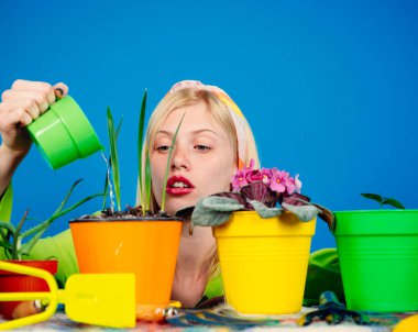 Stüdyoda elinde bahçe aletleriyle poz veren bir kadın. Sarı çiçekleri sulayan sarı saçlı kız. Mutlu çekici kadın bahçıvan. Çiçekle poz veren mutlu çiçekçi.